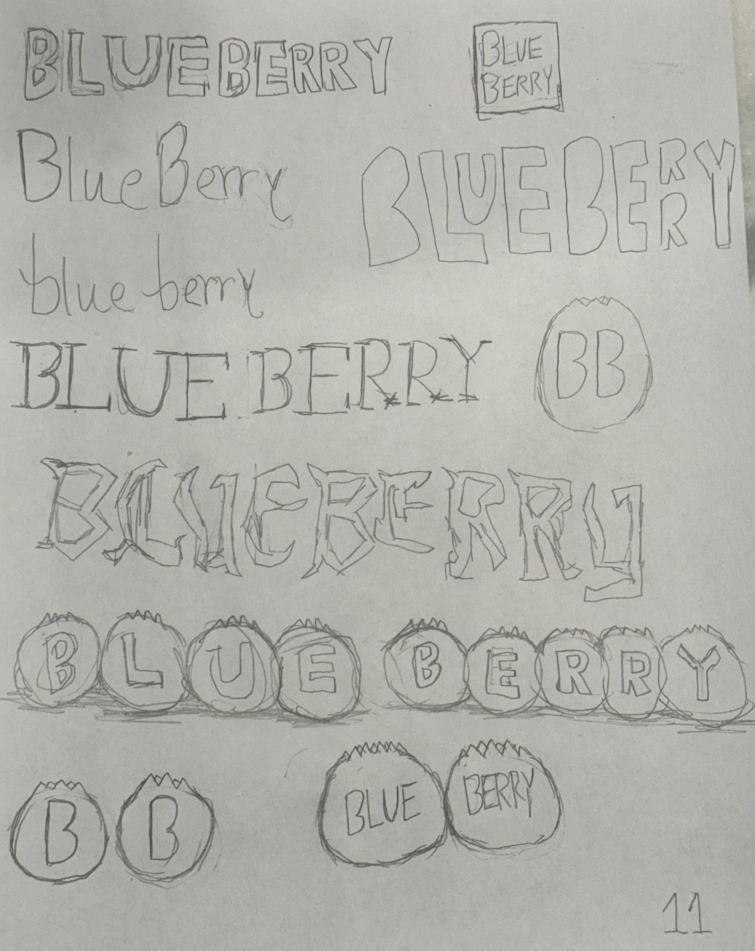 Blueberry Sketch Sheet 1