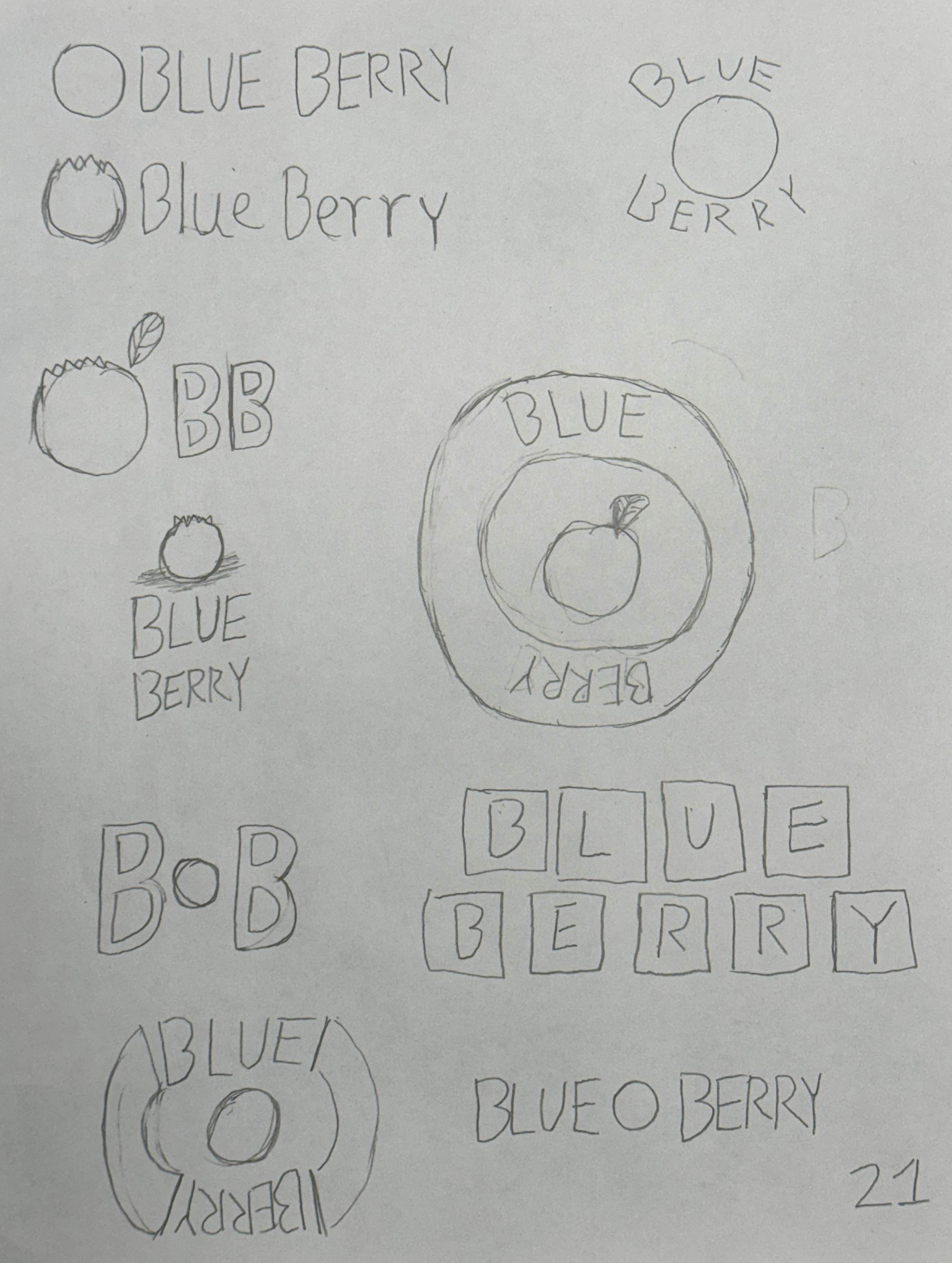 Blueberry Sketch Sheet 2