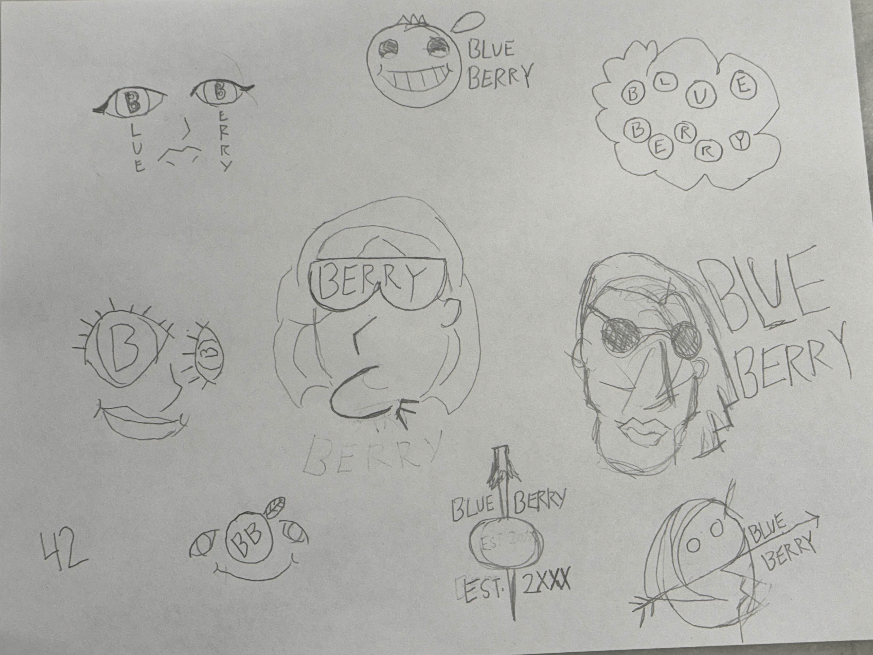 Blueberry Sketch Sheet 4