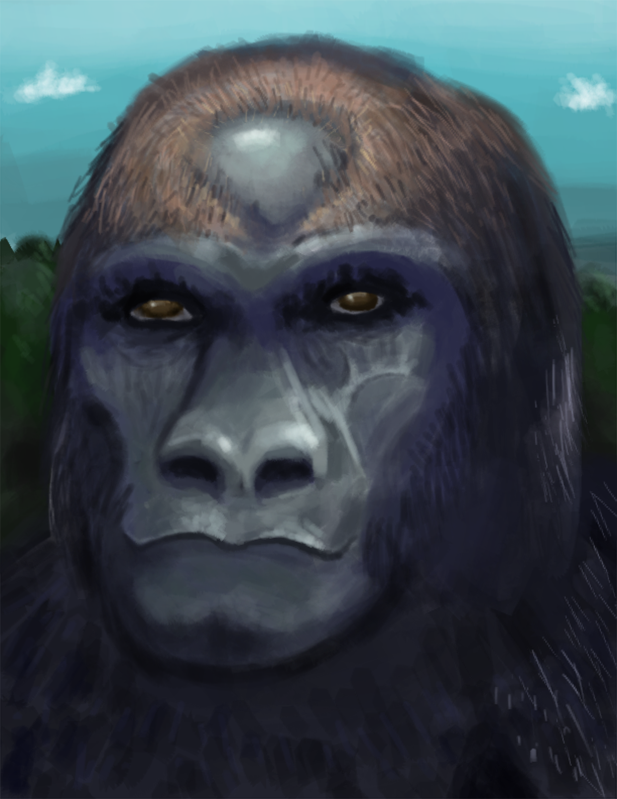 Unnamed Ape